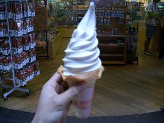 �����\�t�g