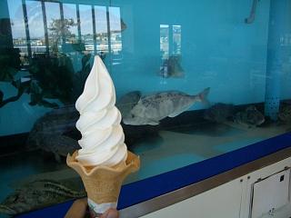 �����\�t�g